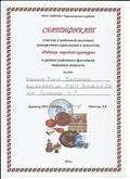 Сертификат участия в районной выставке декоративно-прикладного искусства " Родники народной культуры" 2014